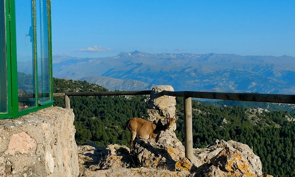 amazing views & 3.500 m high mountains